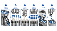 //rrrorwxhimlqlm5m.ldycdn.com/cloud/pmBplKorloSRplnrqooqkp/Capsule-Filling-Process-Flow.png